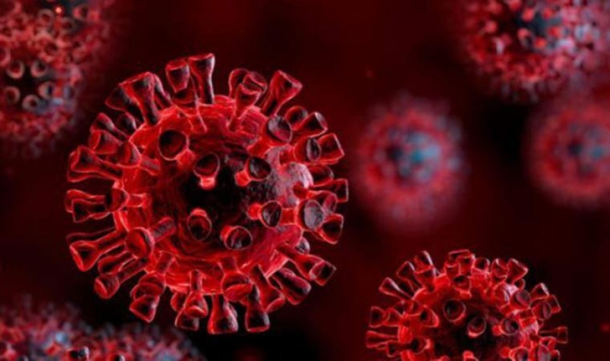 Coronavirüs'ün ölümcül etkisi çözülüyor...