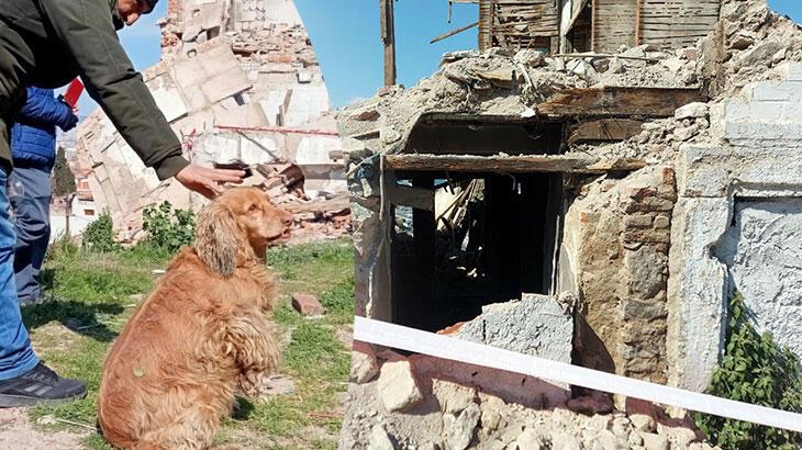 Çöken binanın enkazında kaldı, köpeği çıkarılana kadar bekledi