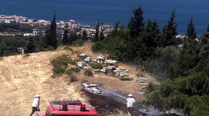 İzmir'de orman yangını! 1 saatte söndürüldü