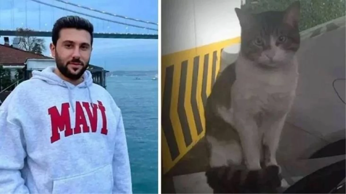 Kedi Eros'u vahşice öldüren İbrahim Keloğlan adli kontrol şartıyla serbest bırakıldı