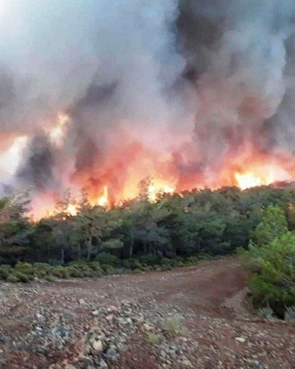 Marmaris'te orman yangını! Rüzgarın etkisiyle alevler kısa sürede yayıldı
