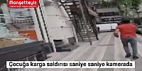 Korku filmini aratmayan görüntüler. Kargalar İstanbul'da bir çocuğa saldırdı...