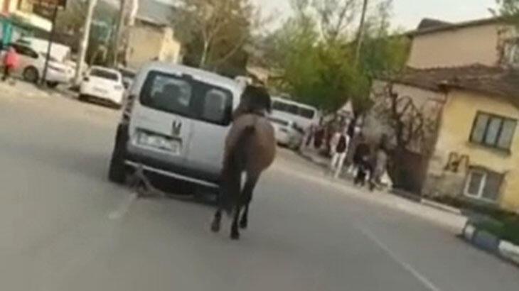 Atını, araca bağlayıp götüren sürücüye bin 55 lira ceza