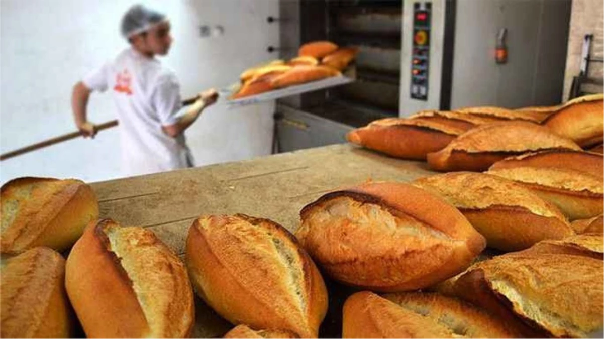 Kocaeli'deki bir fırında ekmeğe zam yok! 10 TL olan ekmek 7,5 TL'den satılıyor