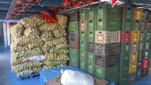 Nisan ayı yaş meyve sebze ihracatı 210 milyon doları aştı
